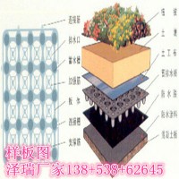 屋頂花園蓄排水板河南30mm阻根蓄排水板+無(wú)紡布