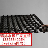 供應(yīng)廊坊排水板，廊坊排水板廠家直銷13853842254