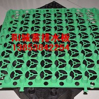 陽城小區(qū)屋頂綠化蓄排水板，廠家直供