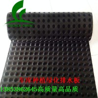 馬鞍山hdpe排水板鋪設(shè)方法%銅陵屋面種植排水板廠家