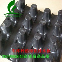 低價(jià)銷售2公分疏水板@2公分綠化用蓄排水板駐馬店供應(yīng)