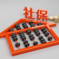 代繳深圳員工社會保險，代繳東莞社會保險，代繳惠州單位社保