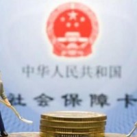 代繳禪城社會保險，代繳南海社會保險，代繳順德社會保險