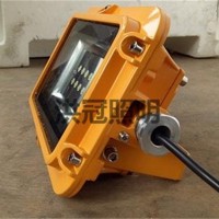 ZFZD-E6W8121 防爆安全出口標(biāo)志燈消防應(yīng)急燈