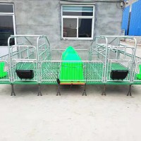 雙體加厚母豬產(chǎn)床