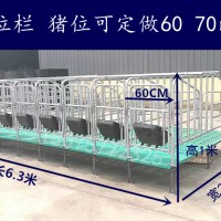 母豬定位架  豬用定位欄廠家