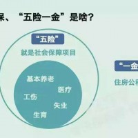 湛江員工社保代理，韶關單位社保代買，揭陽公司社保代交
